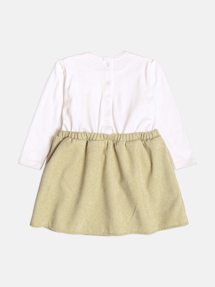 Girls Velvet Dress with Collar